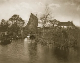 Cottage d